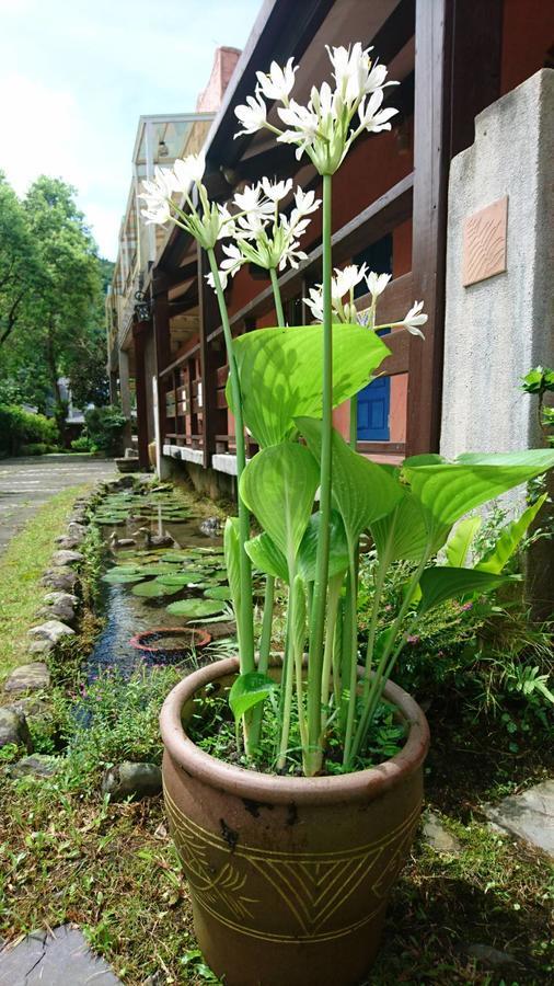Monet Garden Coffee Farm Appartement Chinan Buitenkant foto